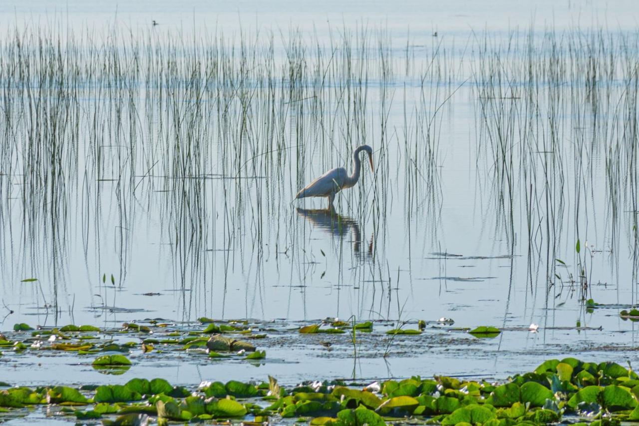 Villa Life'S A Hoot Au Gres Esterno foto